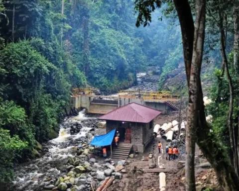 Eftec: Building rules threaten 215,000 hectares of wildlife