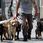 UK suffering ‘absolutely disgusting’ dog poo plague amid coronavirus pandemic