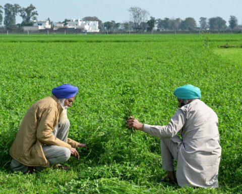 Food market activity in India reflecting consumer price growth trends and inflation concerns