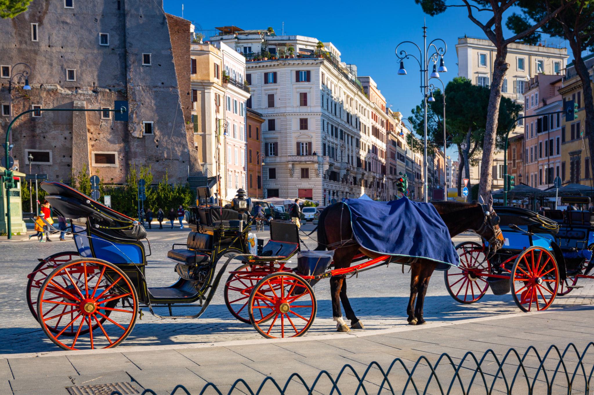 Ceremonial Parade Disruption in Rome Sparks Safety Review After Horses Bolt During Rehearsal Rome, Italy 2026 1 Ceremonial parade disruption during a parade rehearsal in Rome, Italy, in 2026