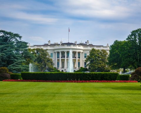 White House cage fights arena construction