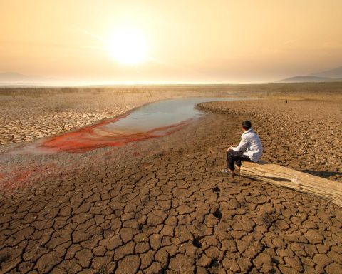 El Niño weather forecast showing Pacific Ocean warming trends