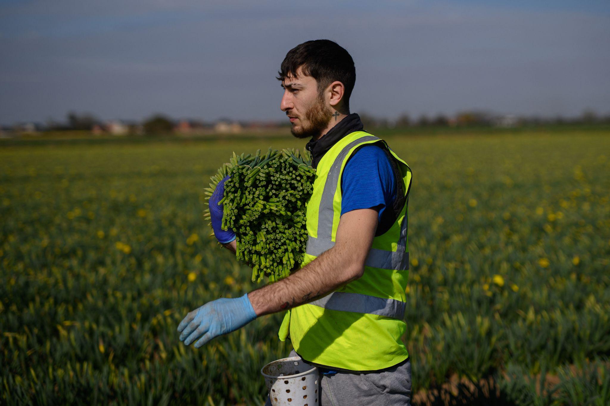 UK food security remains linked to domestic food production and agricultural output