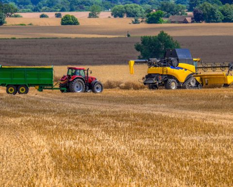 UK food security concerns grow as industry leaders call for stronger resilience planning