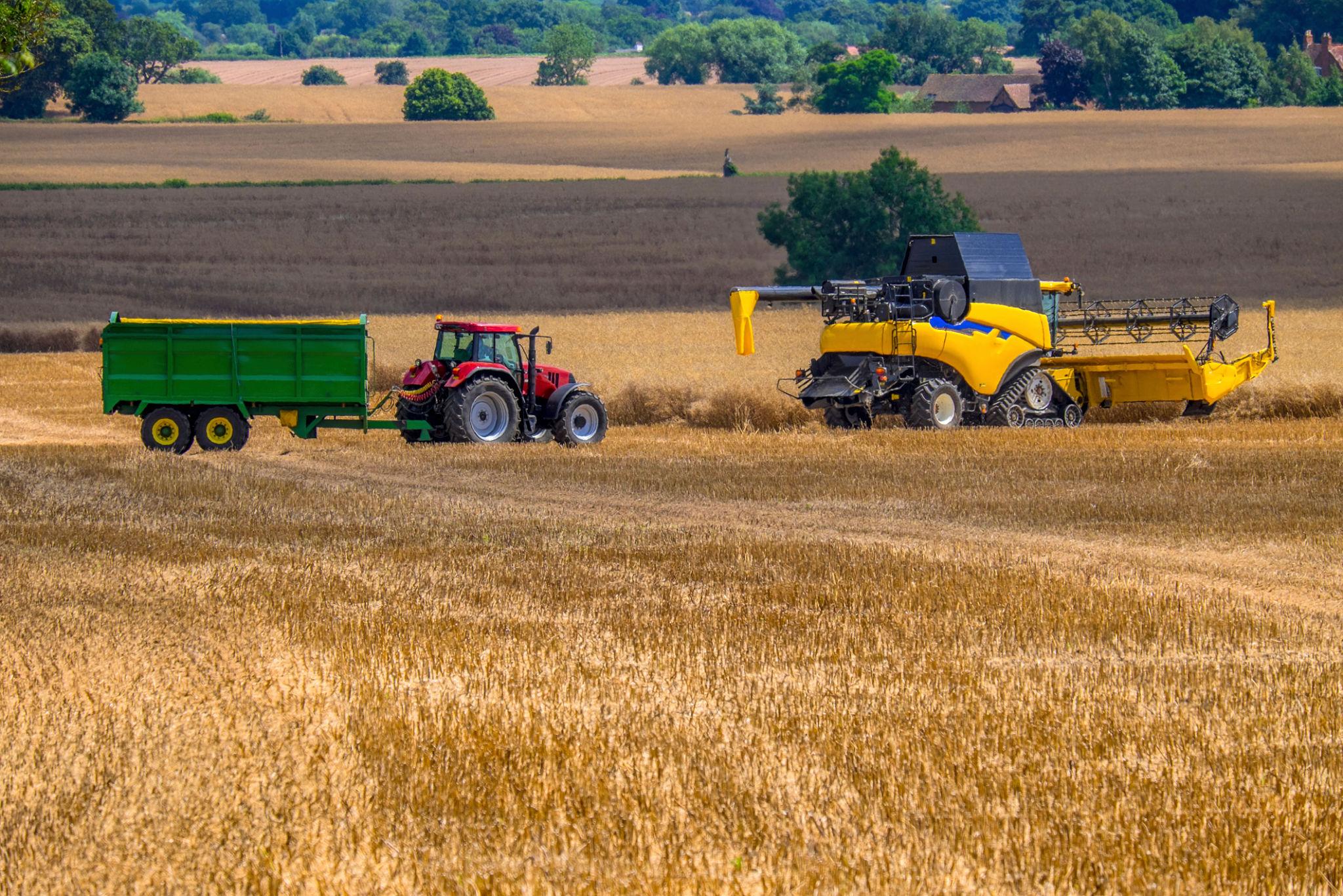 UK food security concerns grow as industry leaders call for stronger resilience planning