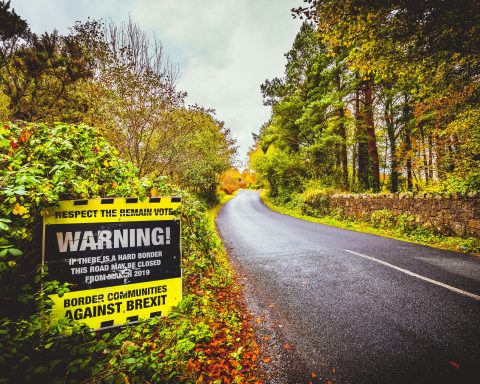 DUP leader Gavin Robinson discusses the Irish border