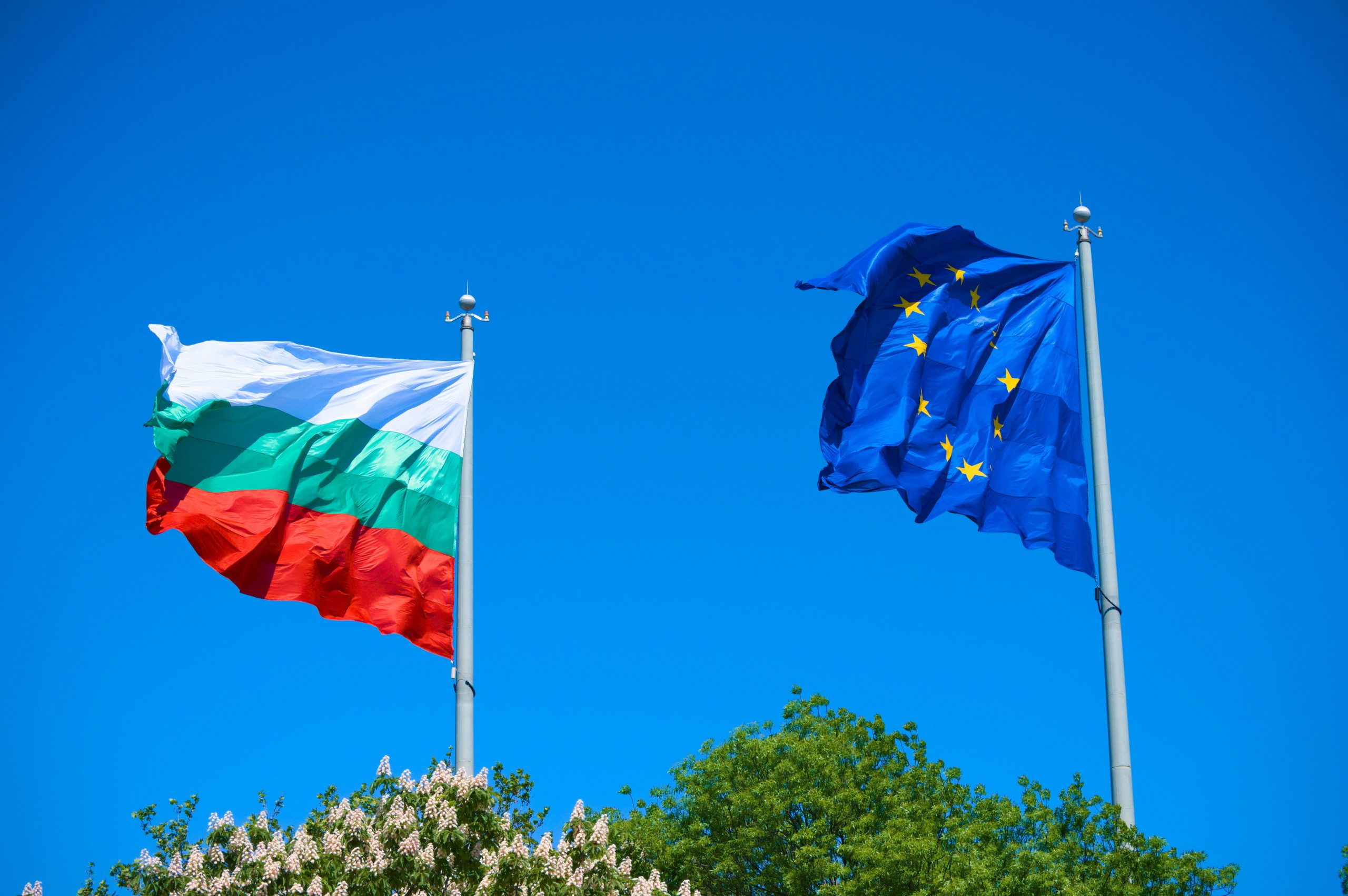 Bulgaria halts arms deliveries to Ukraine