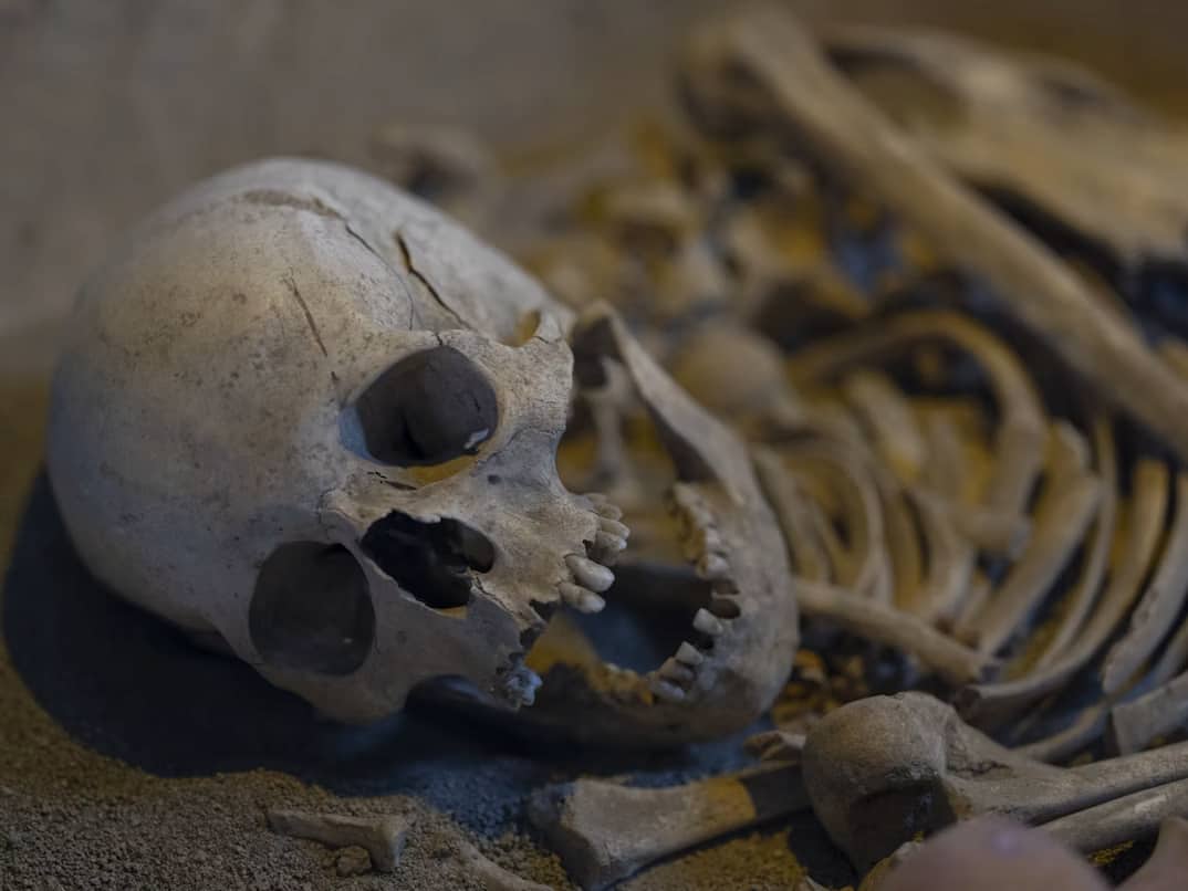 On The Square Emporium human remains auction