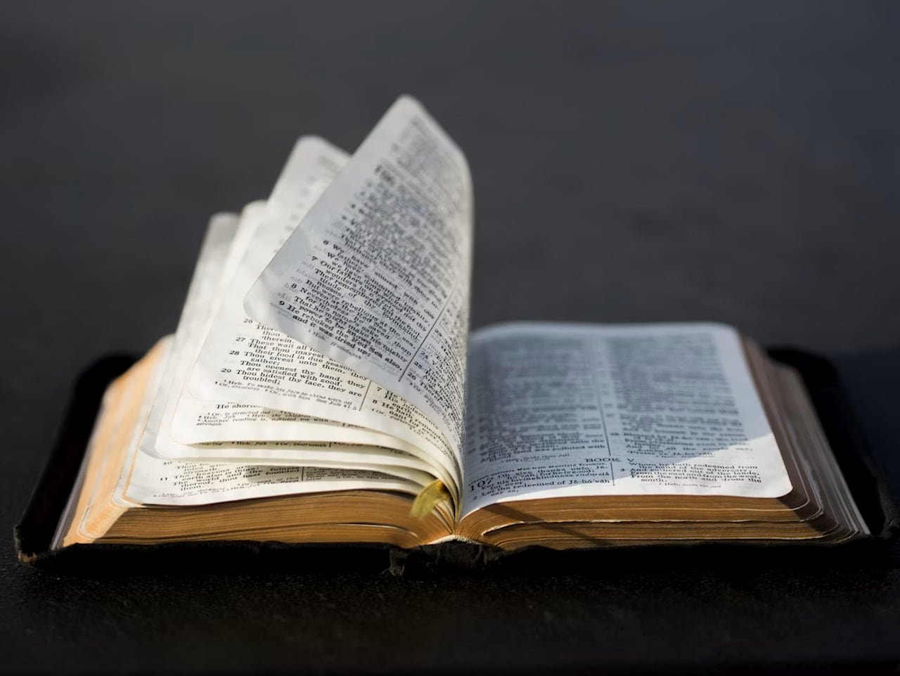 Texas state school board approves mandated reading list