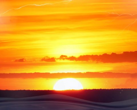 Electrical grid struggle during record European heatwave