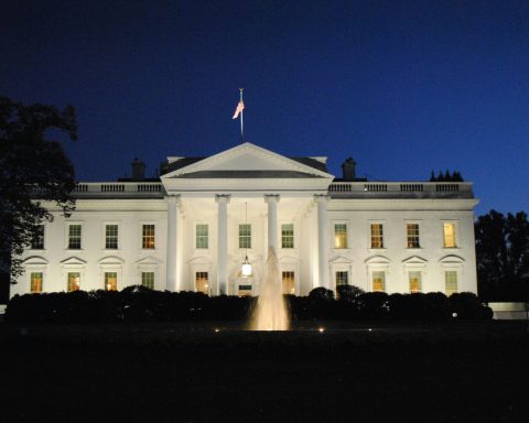 Trump attends White House UFC fights