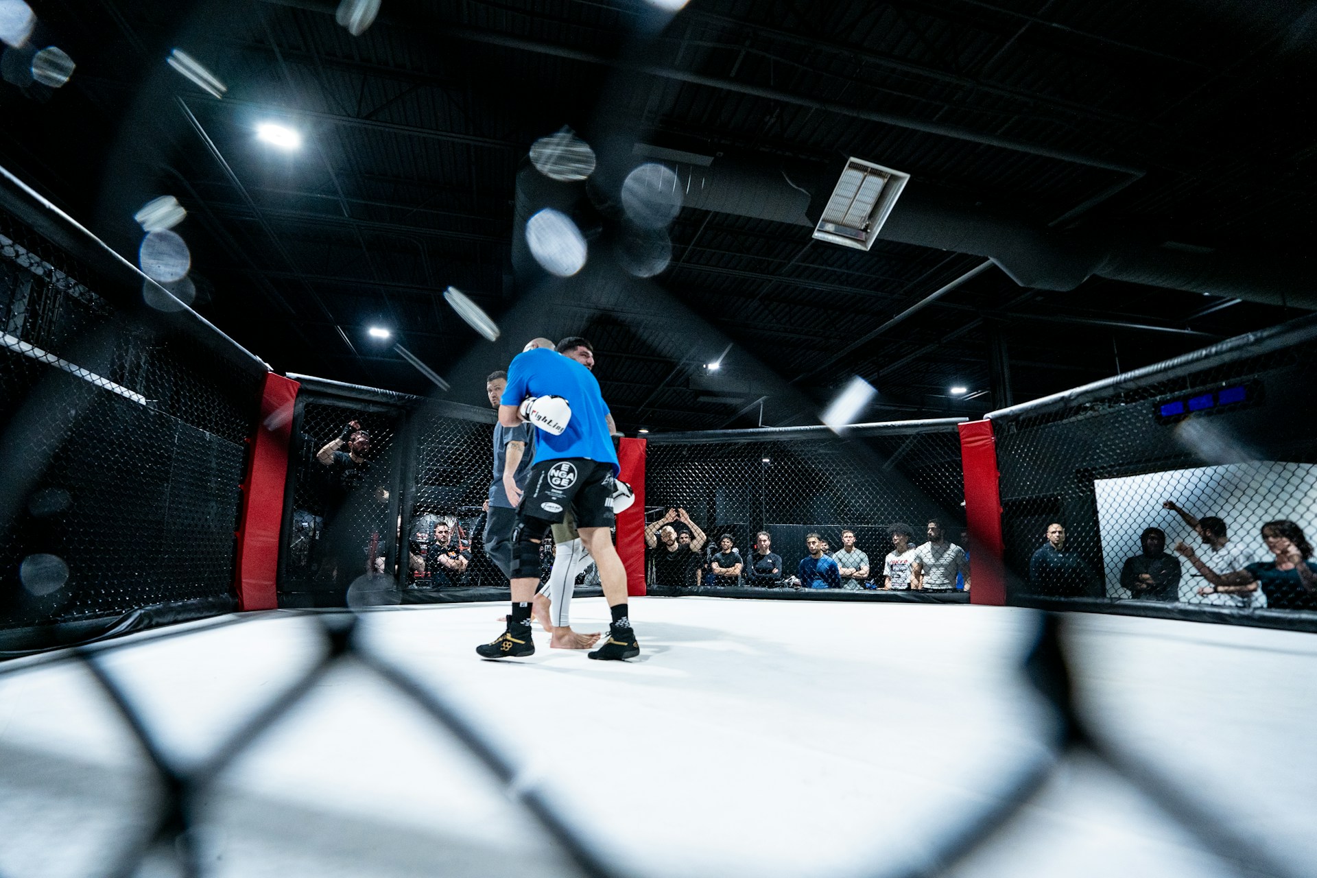 President Trump attends White House cage fights