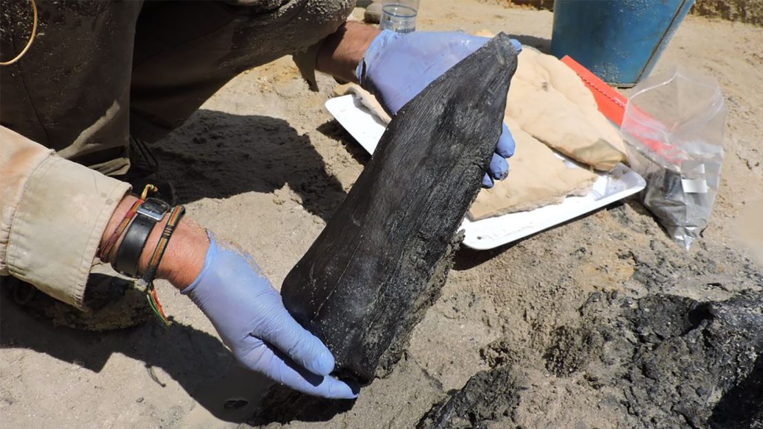South America prehistoric site excavation trench Monte Verde Chile