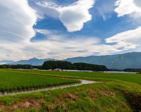 seismic monitoring Japan ground sensor detecting earthquake