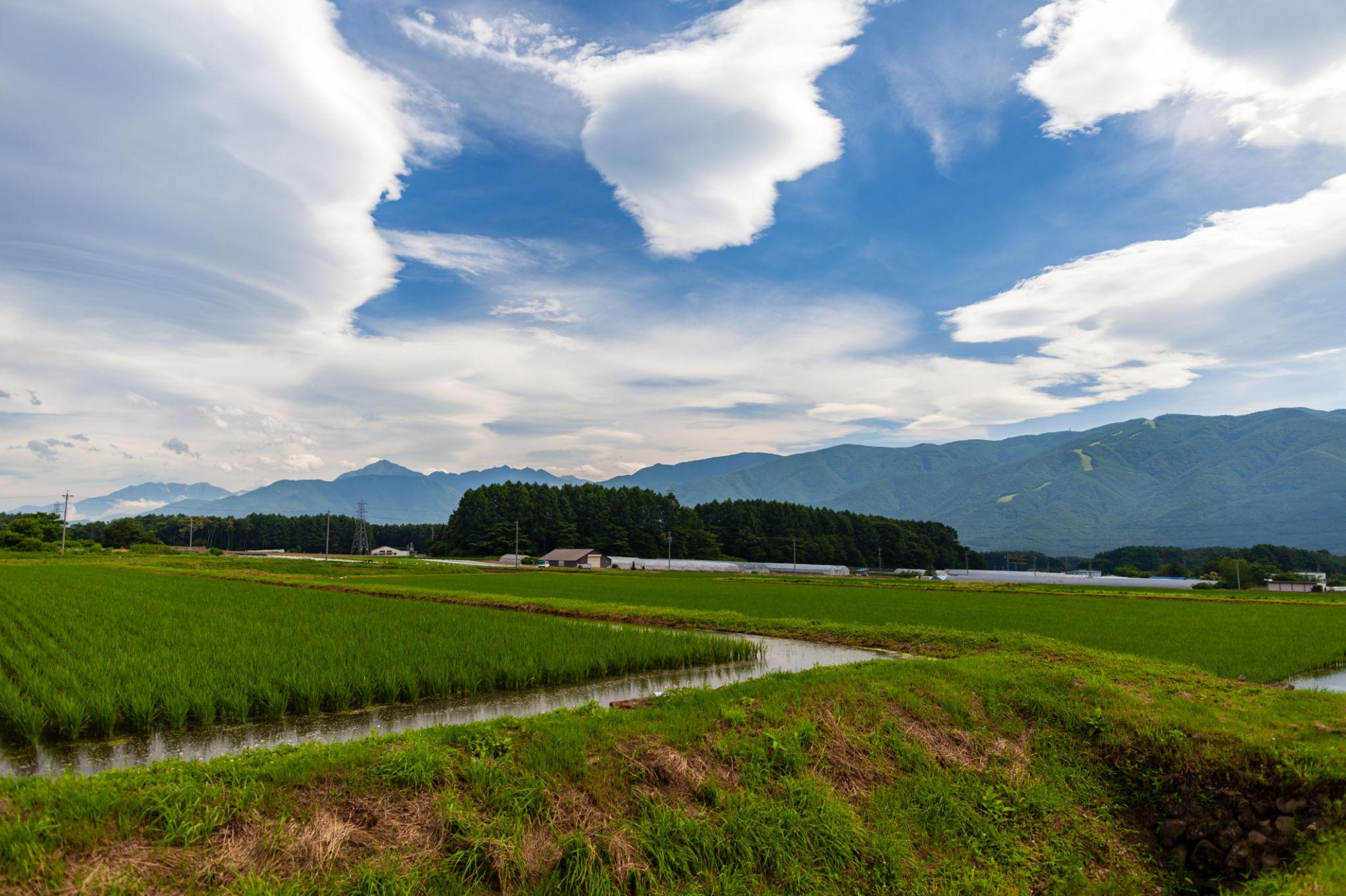 seismic monitoring Japan ground sensor detecting earthquake