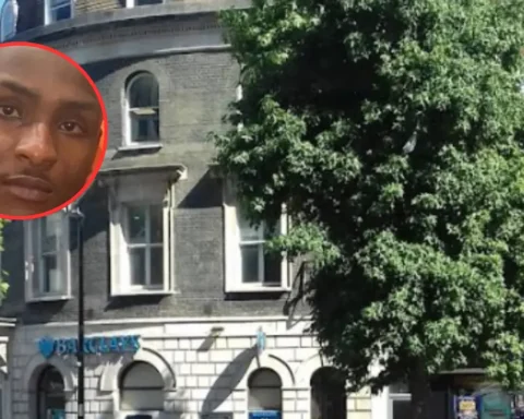 33-years-old suspect arrested in Catford over Lewisham stabbing