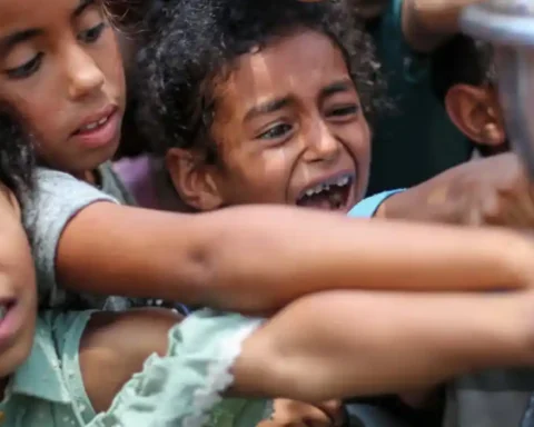 60 Labour MPs urge UK to recognise Palestine