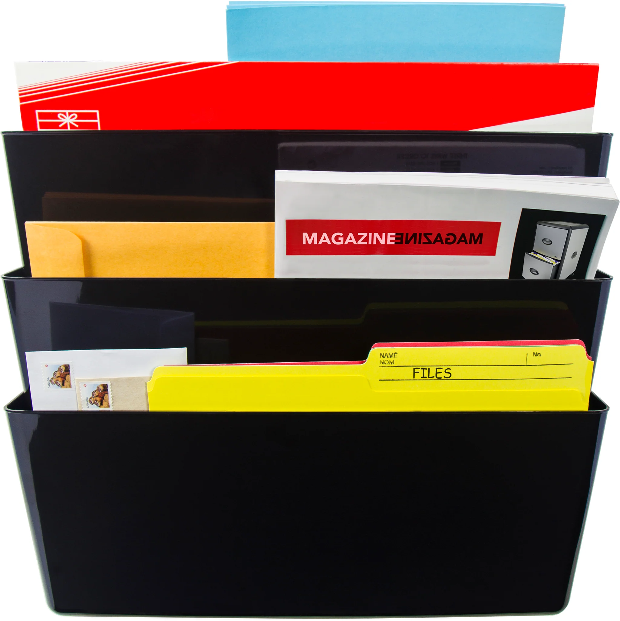 Justice Department release Epstein government records for transparency