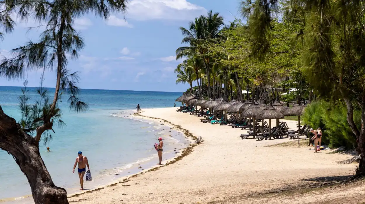 £75k expenses for Chagos Islands handover revealed