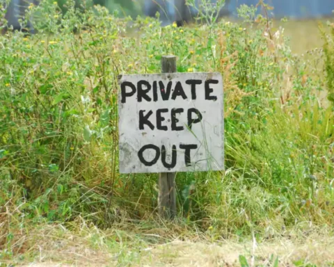 £9bn in environmental grants fail to restore nature