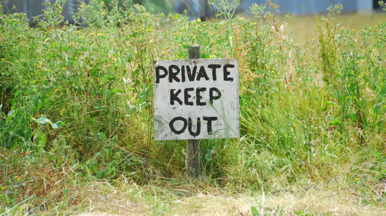 £9bn in environmental grants fail to restore nature