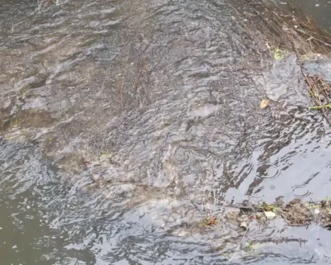 Alarming levels of chemicals found in UK freshwaters