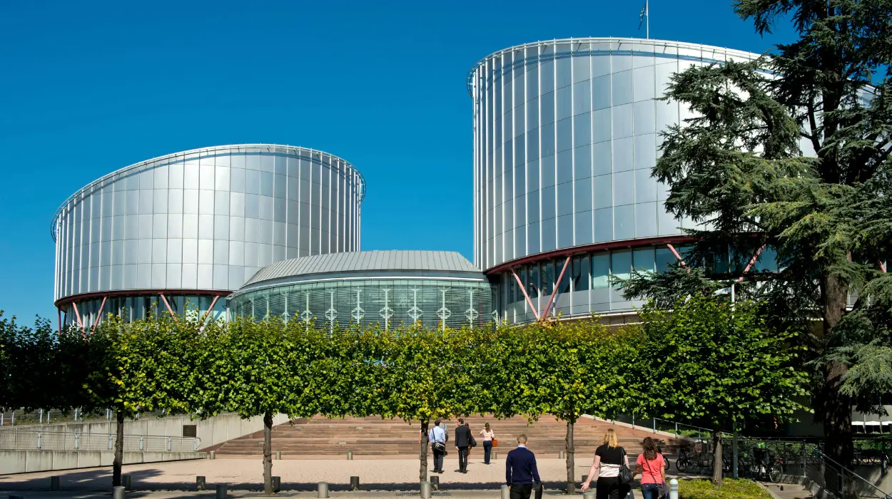 Amnesty poll: Half of Britons want UK to stay in ECHR