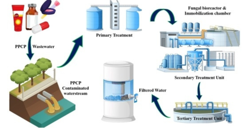 Analyzing Fresh Government Directives Regarding Moisture and Fungal Growth