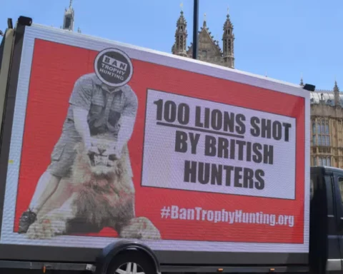 Animal groups Labour failed to act on animal welfare
