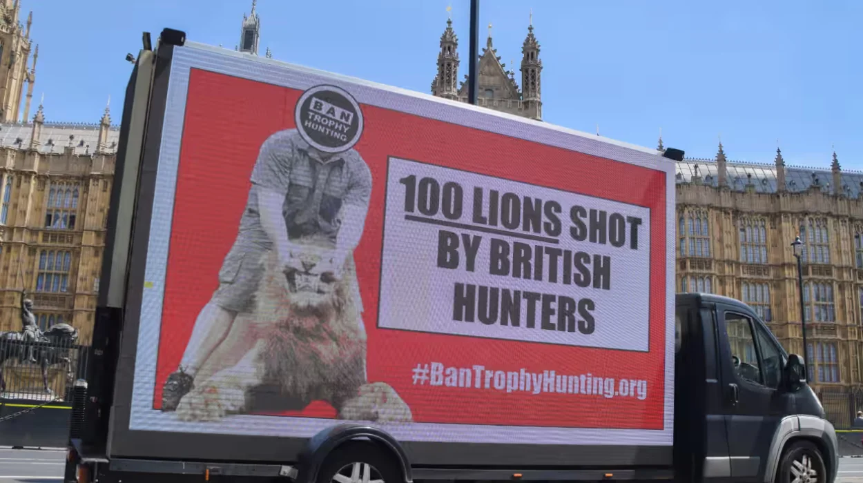 Animal groups Labour failed to act on animal welfare