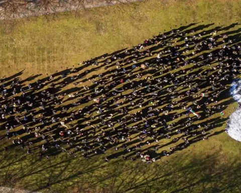 Art Under Attack A Report on the Endangered Status of Social Justice Artists