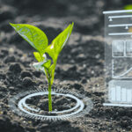 ‘Harvesting Data’: Latin American AI Startups Revolutionise Farming