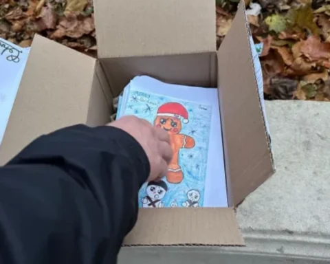 Bomb robot deployed at Westminster after suspicious Christmas cards found