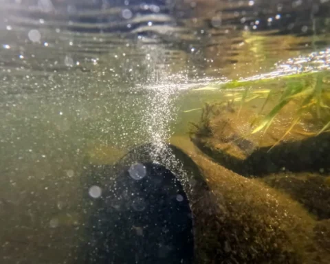 CMA approves higher water bills for 5 UK companies