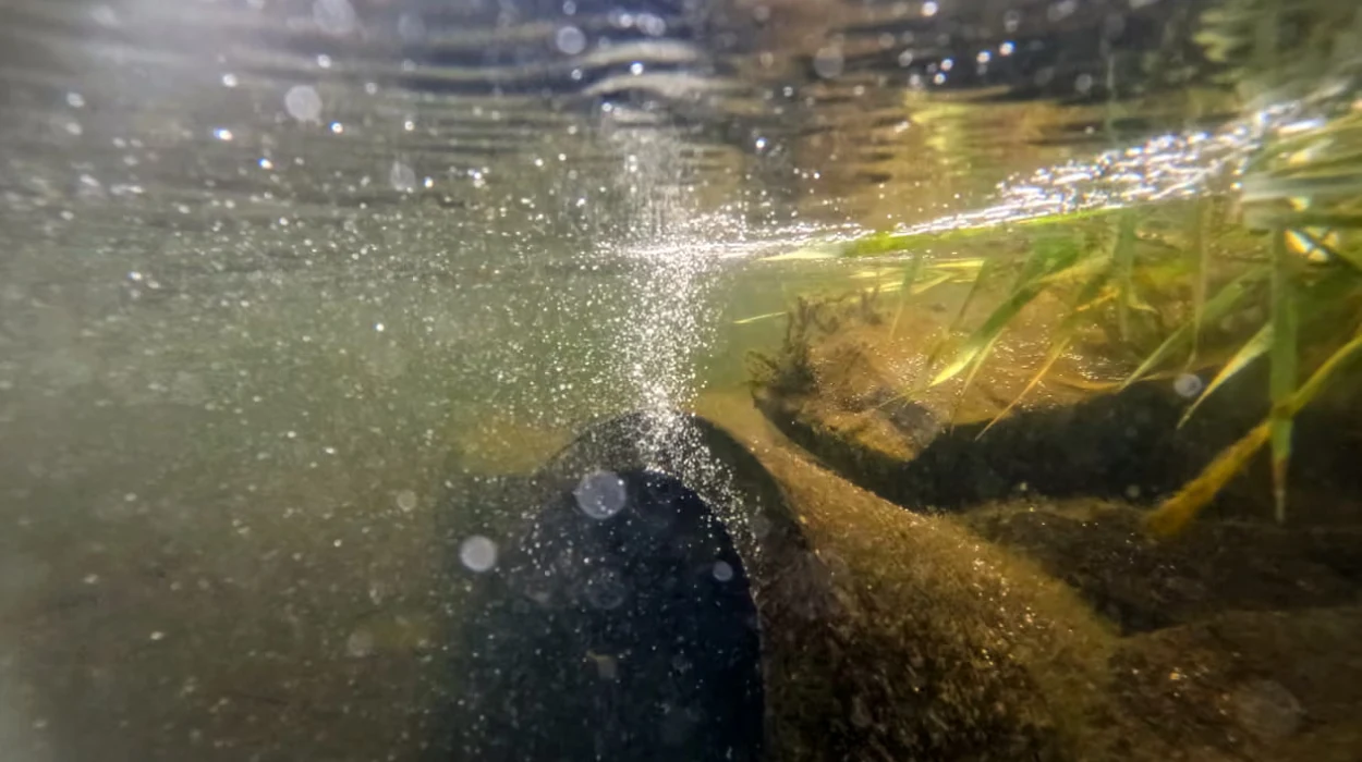 CMA approves higher water bills for 5 UK companies