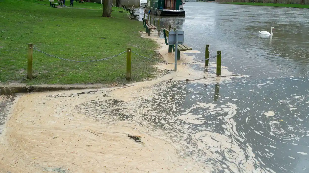 Call to charge wet wipe firms over river waste
