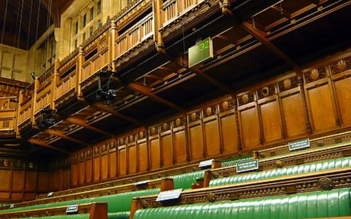 Can UK backbenchers propose new laws?