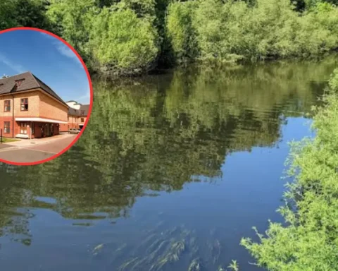 Care Quality Commission rates Waltham Forest adult care services ‘good’