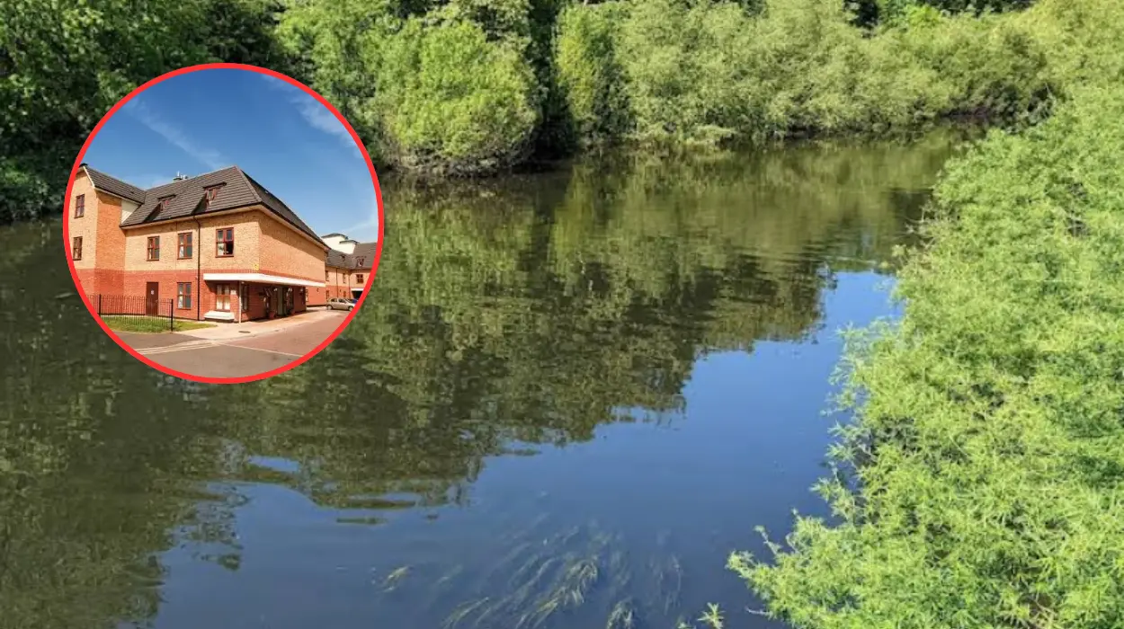 Care Quality Commission rates Waltham Forest adult care services ‘good’