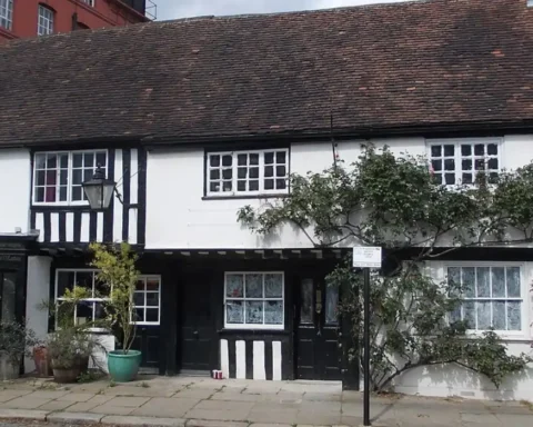 Chiswick residents oppose 20m 5G mast near common