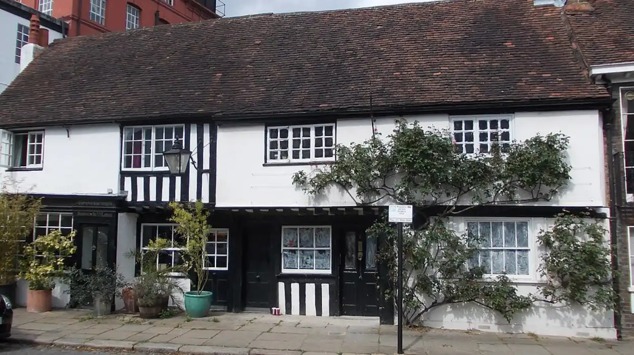 Chiswick residents oppose 20m 5G mast near common