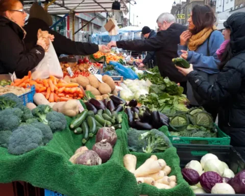 Climate change ends UK’s “hungry gap” early