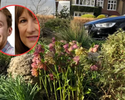 Cllr Luke Cawley-Harrison speaks out on illegal House in Multiple Occupations