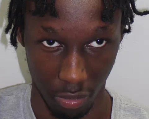 Croydon Stabbing Hassan Sentamu jailed 23 years for Elianne's Death