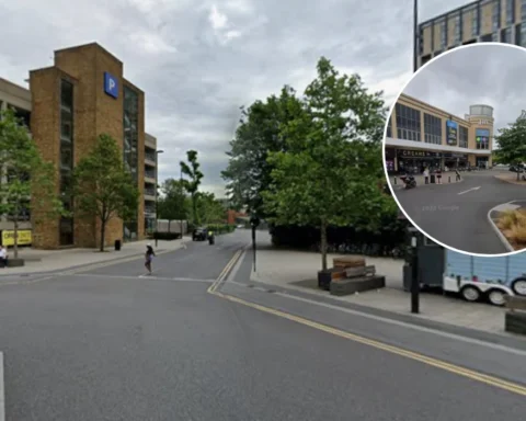 Croydon food hygiene ratings released for local businesses