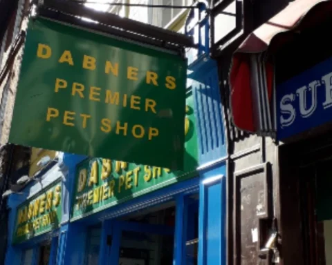 Croydon’s Dabners pet shop to stay open after closure plans