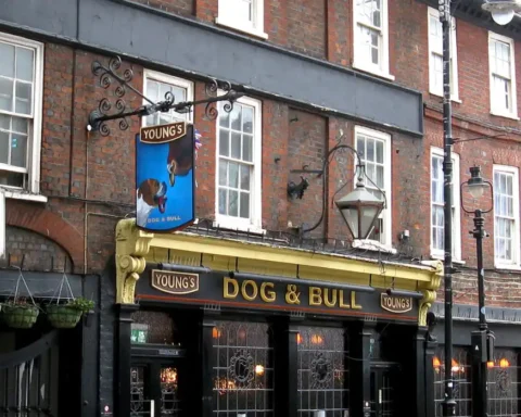 Cultural vandalism row over iconic Croydon Dog and Bull pub