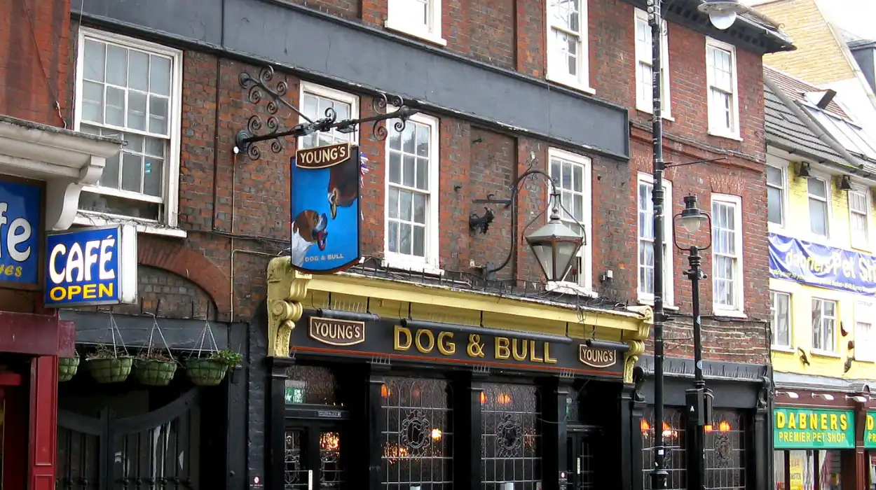 Cultural vandalism row over iconic Croydon Dog and Bull pub