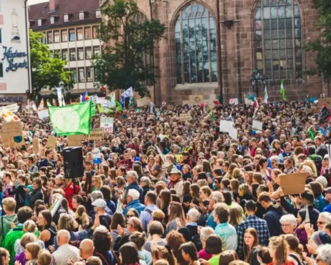 Doctors, Climate Activism, and the GMC Navigating Ethical Conflicts and Public Trust