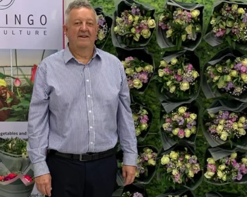 EU plant deliveries hit as Kent border delays continue